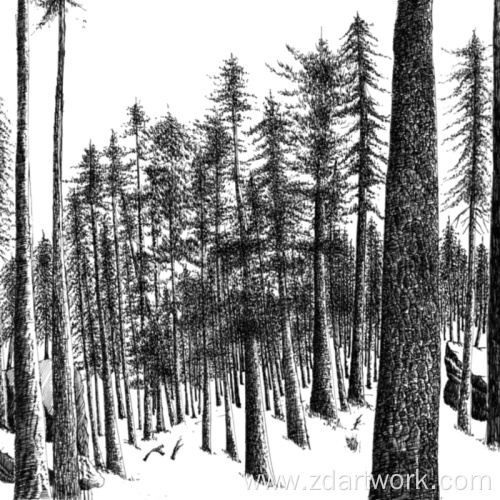 Passage pen and ink painting in winter